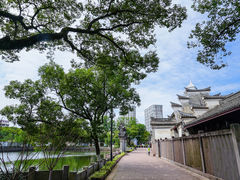 -月湖公园