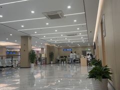 -上海大学附属上海和平眼科医院