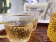 -吉丁鸟咖·异宠·寄养