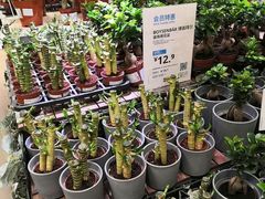-IKEA宜家家居(南京商场)