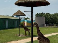 -鄂尔多斯野生动物园