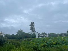 -西溪南古村落