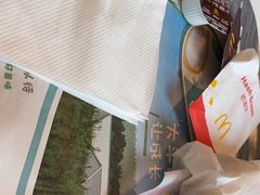 -麦当劳(总统大酒店店)