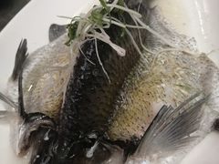 -四海酒家生态粤菜