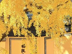 -无锡惠山寺