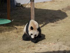 -杭州野生动物世界