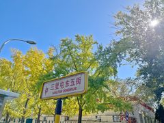 -三里屯东五街银杏大道