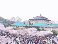 -武汉大学-樱园
