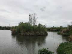 -白鹭湾湿地公园