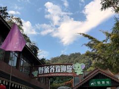 -野象谷景区