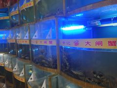 -黄记大闸蟹专卖店·活蟹·醉蟹