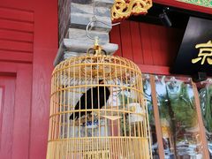 -清真·京华源铜锅涮肉(丰庆店)