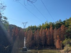 -广州市帽峰山景区