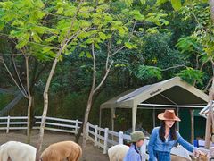 -云栖山谷野奢营地