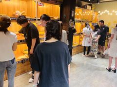 -欣宠猫屋·矮脚拿破仑·蓝金金渐层