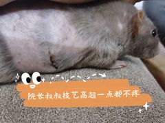 -立德动物医院·24小时中心(番禺区院区)