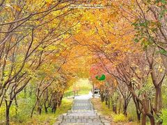 -京东石林峡风景区