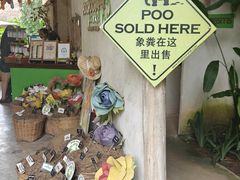 -大象粑粑造纸公园