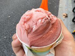 -Dip in Gelato(富民路店)