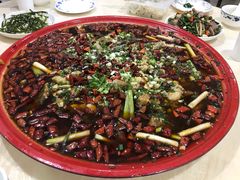 -东吴霸王兔(松青路店)