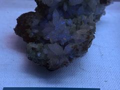 -湖南省地质博物馆