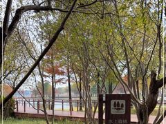 -贡湖湾湿地公园