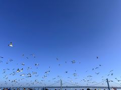 -星海广场