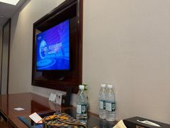 -圣爵菲斯大酒店(长沙世界之窗店)