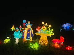 -大塘金香草谷