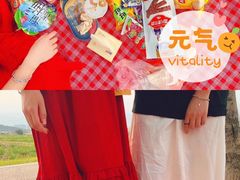 景点-光明小镇欢乐田园