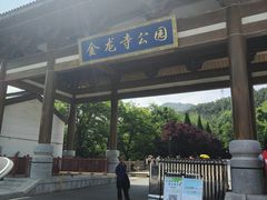 -金龙寺国家森林公园