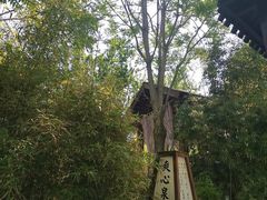 -国御温泉度假小镇