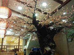 android_upload_pic-青瓦餐厅·生鱼片·韩园烤肉(西塔店)