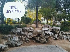 -迎泽公园