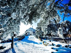 -鲁山国家森林公园