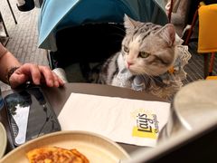 -Calix&Lay's(新天地店)