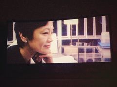枫花园汽车影院-枫花园汽车电影院(朝阳公园店)