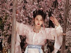 -西安乐游原