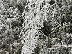 -武陵山森林公园