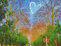 -河南省黄河迎宾馆