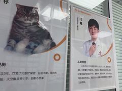 -全心全意连锁动物医院·微创中心·内科急重症·心脏专科(丰管路店)