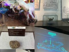 -中国西峡恐龙遗迹园