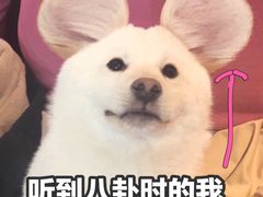 -麦当劳(温州人民路店)