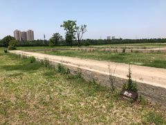 -汉长安城未央宫国家考古遗址公园