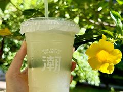 -一杯潮茶·专注潮汕茶饮(朝阳庄店)