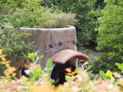 -三鹰之森吉卜力美术馆