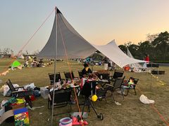 -春花秋色城市公园