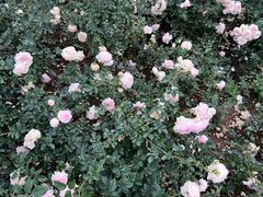 -人民公园(罗湖区)