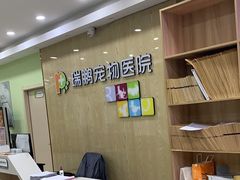 -瑞鹏宠物医院犬猫全科(真大分院)