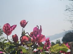 -南诏风情岛